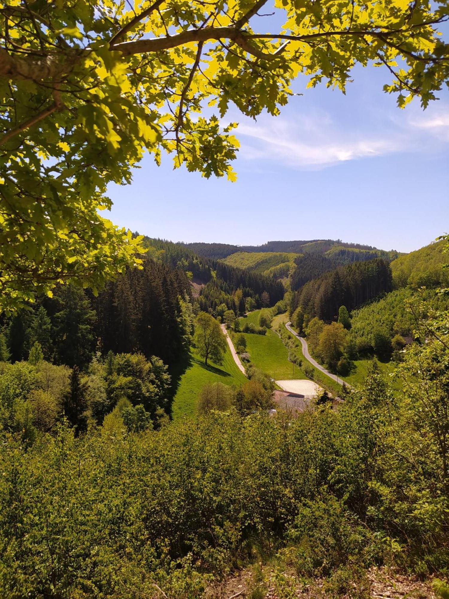 Ferienwohnung Sauerland Burgfenster Lennestadt Exterior foto